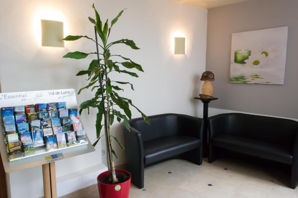 Hotel La Tete Noire Montrichard Zewnętrze zdjęcie